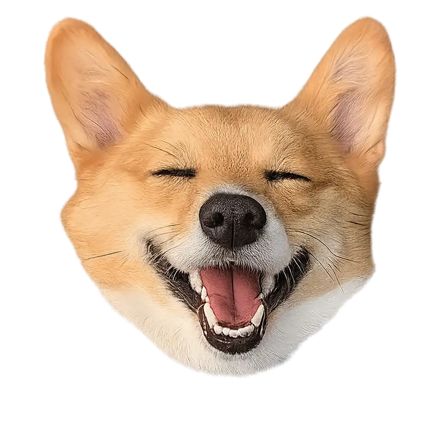 Face Cutout