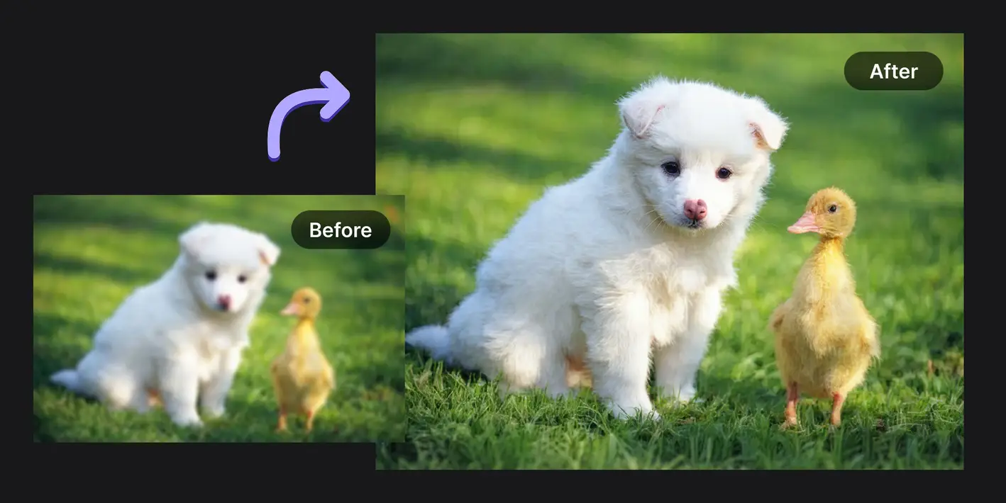 Editimg.ai feature image 1