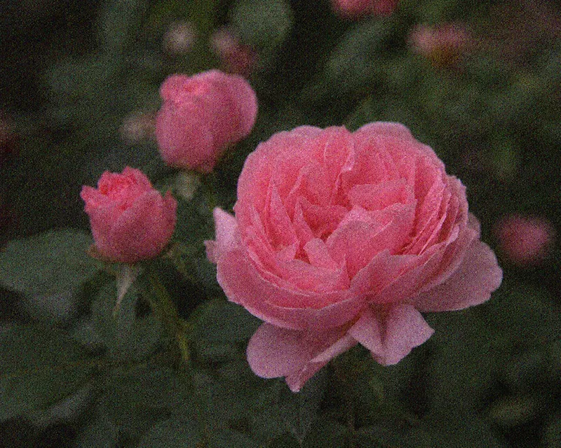 Noisy image sample 2