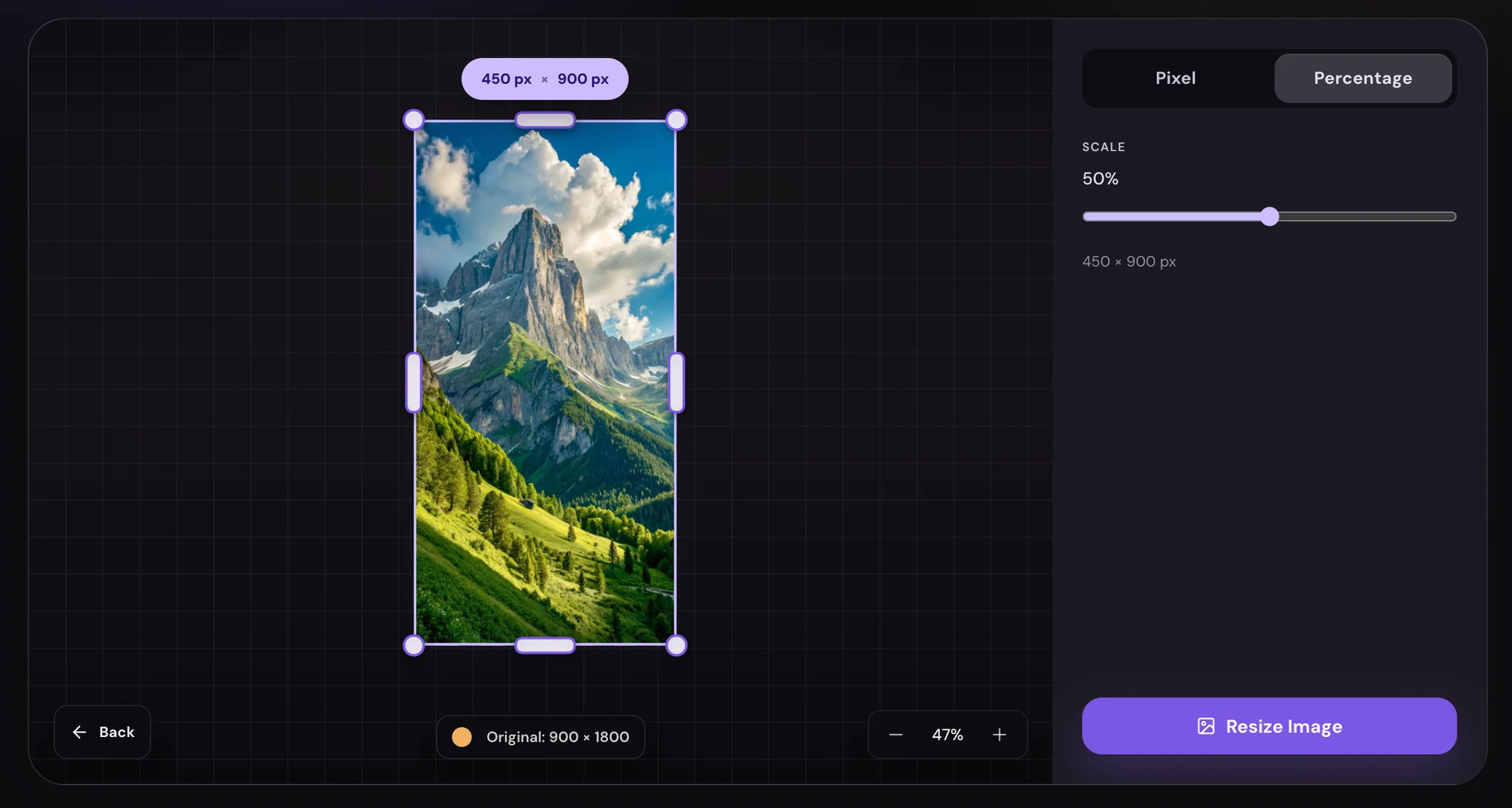 Mixinflow photo resizer preview with updated image dimensions.